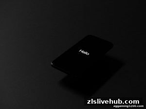 AG真人 zlslivehub