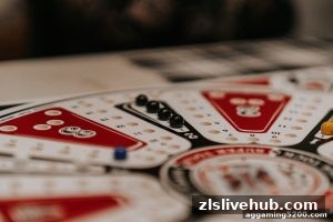 AG真人 zlslivehub