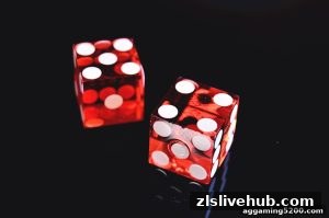 AG真人 zlslivehub